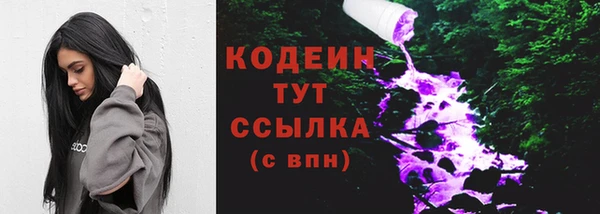 мдпв Коряжма