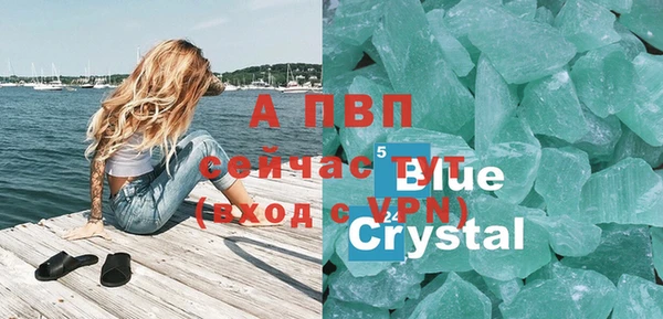2c-b Бикин
