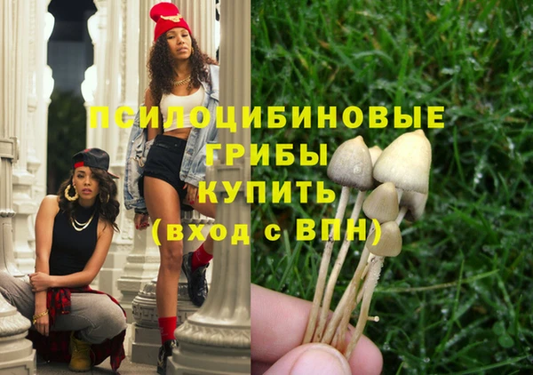 мдпв Коряжма