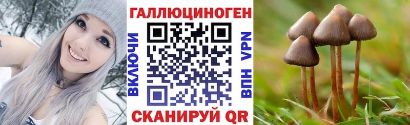 Псилоцибиновые грибы GOLDEN TEACHER  Ленск 